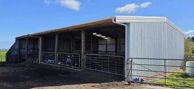 1641 Eltham Road Kaponga_4