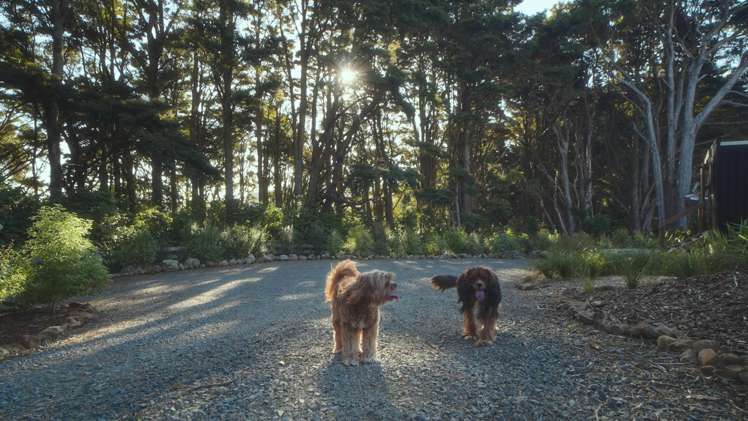 629E Tara Road Mangawhai_21