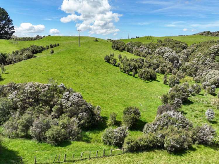 85696 State Highway 2 Mount Bruce_22