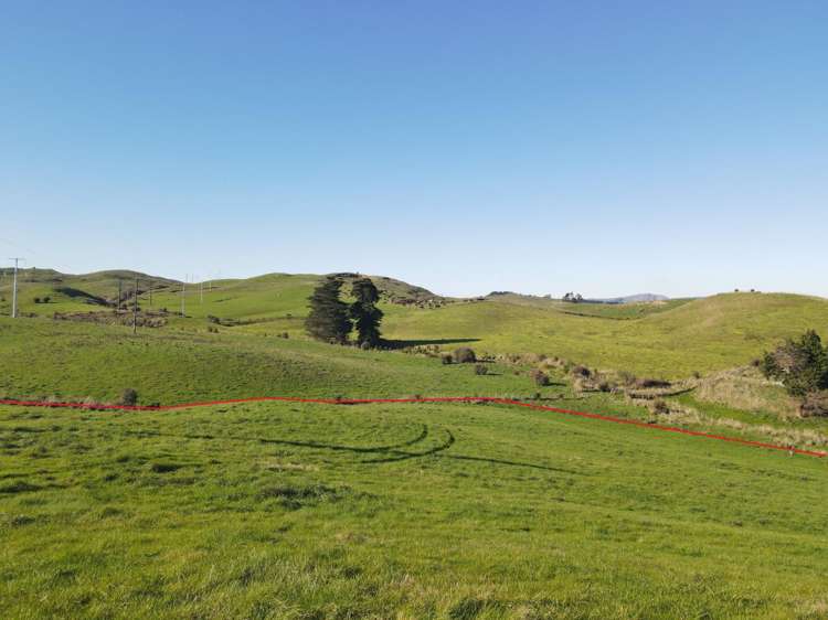 195 Garfield Road Norsewood_6