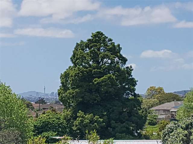 83c Glengarry Road Glen Eden_1