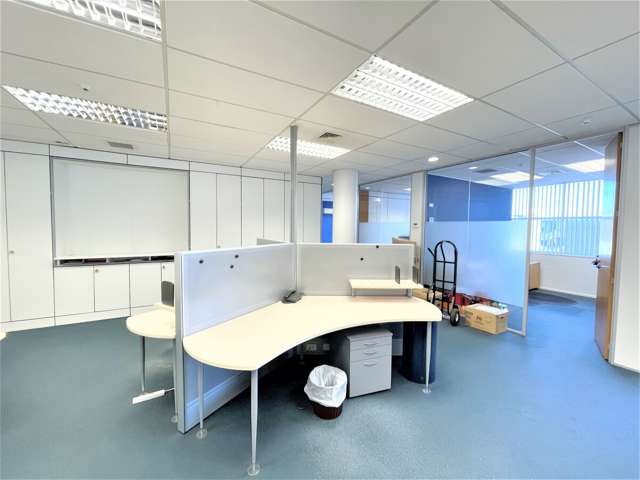 2 Crummer Road Grey Lynn_3