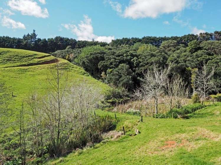 409 Settlement Road Puni_16