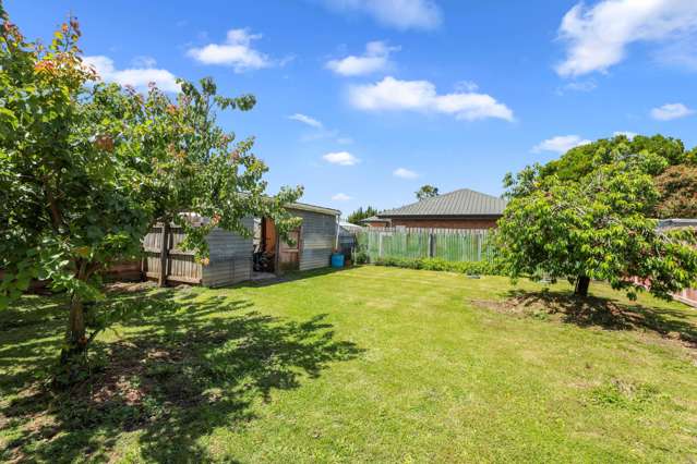 38 Alabama Road Redwoodtown_3