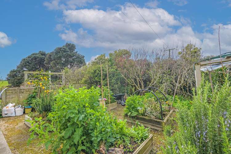 482 Williamsons Line Marton_11