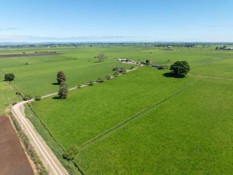 254 Muir Road Te Awamutu_3