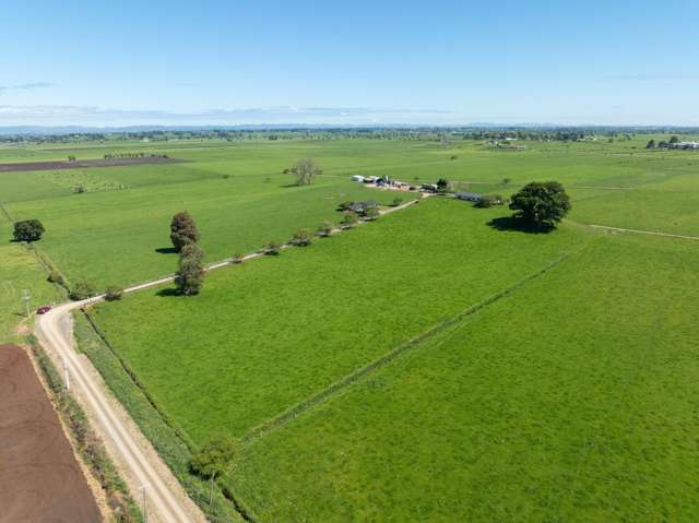 254 Muir Road Te Awamutu_3