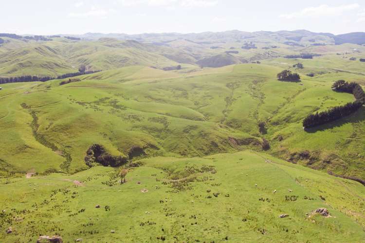 1921 Weber Road Dannevirke_4