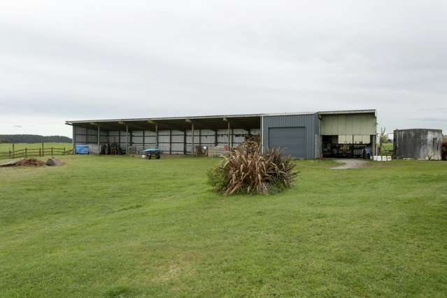 560 Hingarae Road Tihoi_2