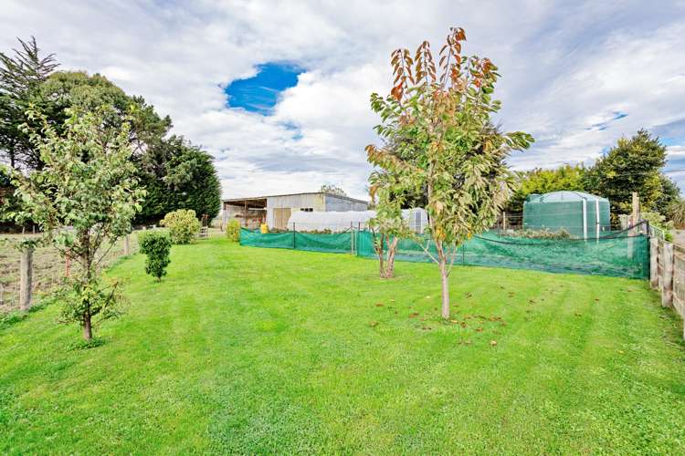 372 Lindsay Calcium Road Otautau_6