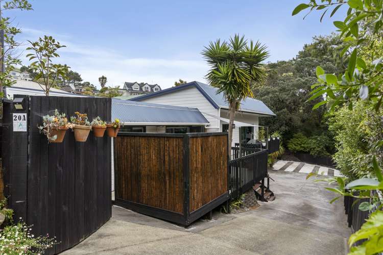20a Ocean View Road Hatfields Beach_24