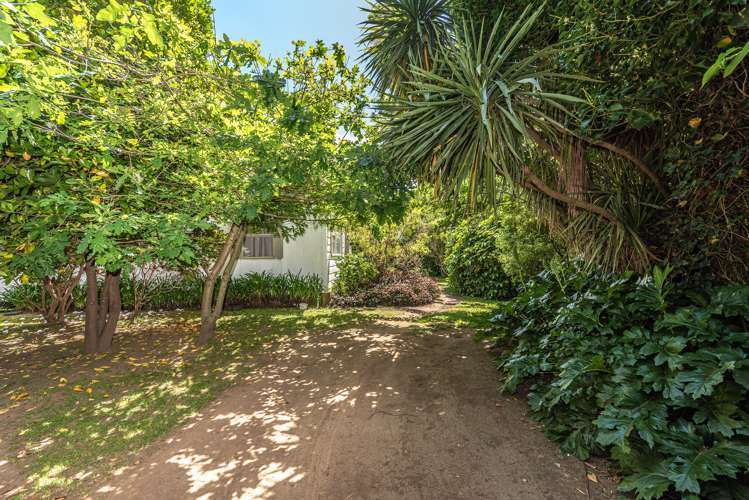 41 Gloag Street Waverley_8