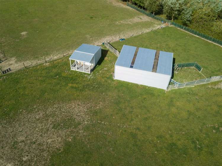 181e Willow Park Drive Opaki_13