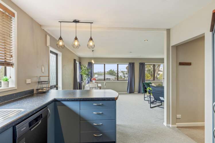 234 Carrington Street Vogeltown_17