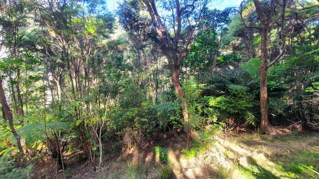 34 Schoolhouse Bay Road Kawau Island_4