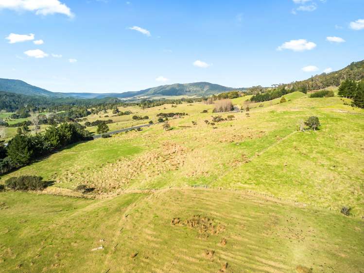 Lot 2 7046 State Highway 12 Waimamaku_8