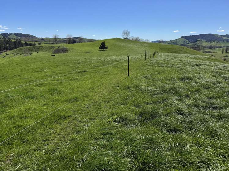 530 Mangatutu Rd RD3 Maihiihi_15