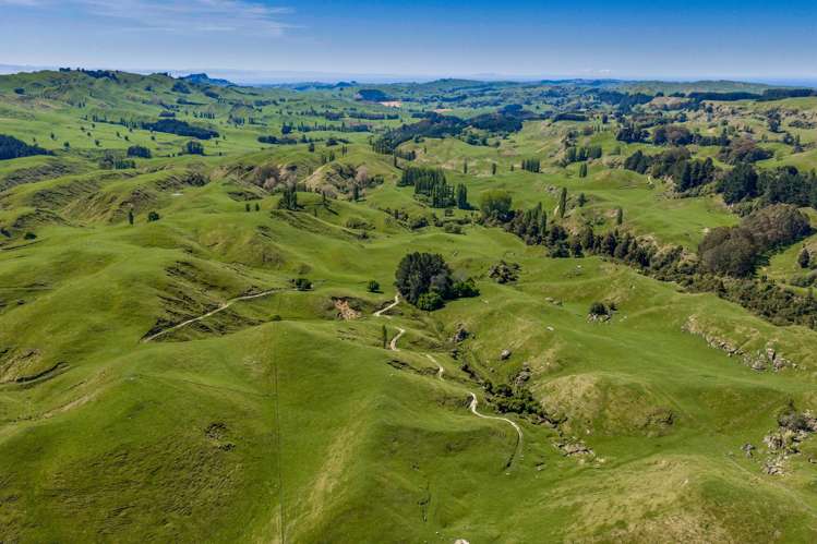 1262 - 1520 Maraetotara Road Waimarama_18