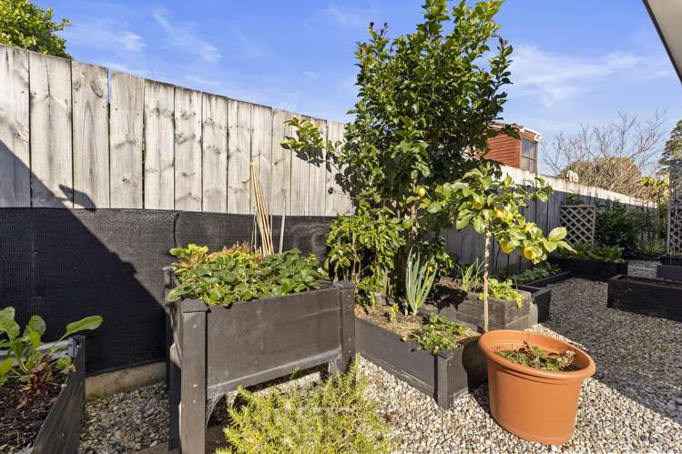 3B Pine Road Orewa_20