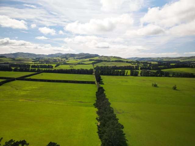 291 Karaka Road Waikari_2