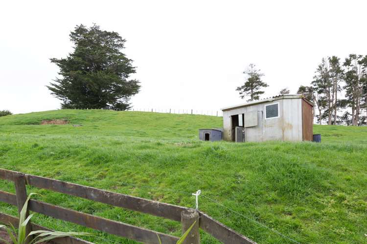 543 Mataro Road Onaero_20