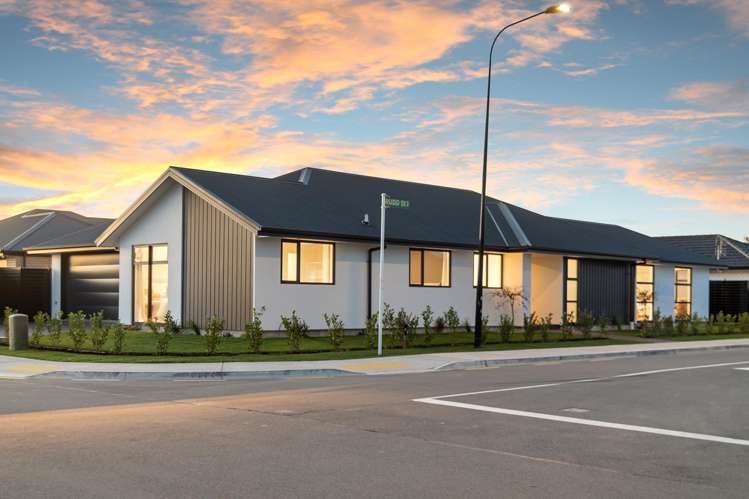 36 Stackwood Avenue Ravenswood_22