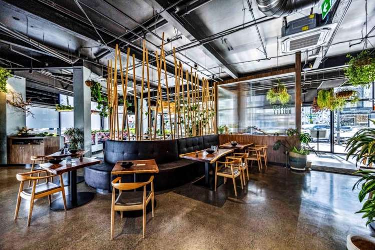 223 Greenlane West Epsom_6