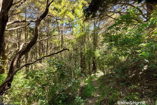 371 Longbush Road, Hinakura Martinborough_1