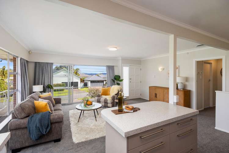 2A Douglas Avenue Mount Albert_7