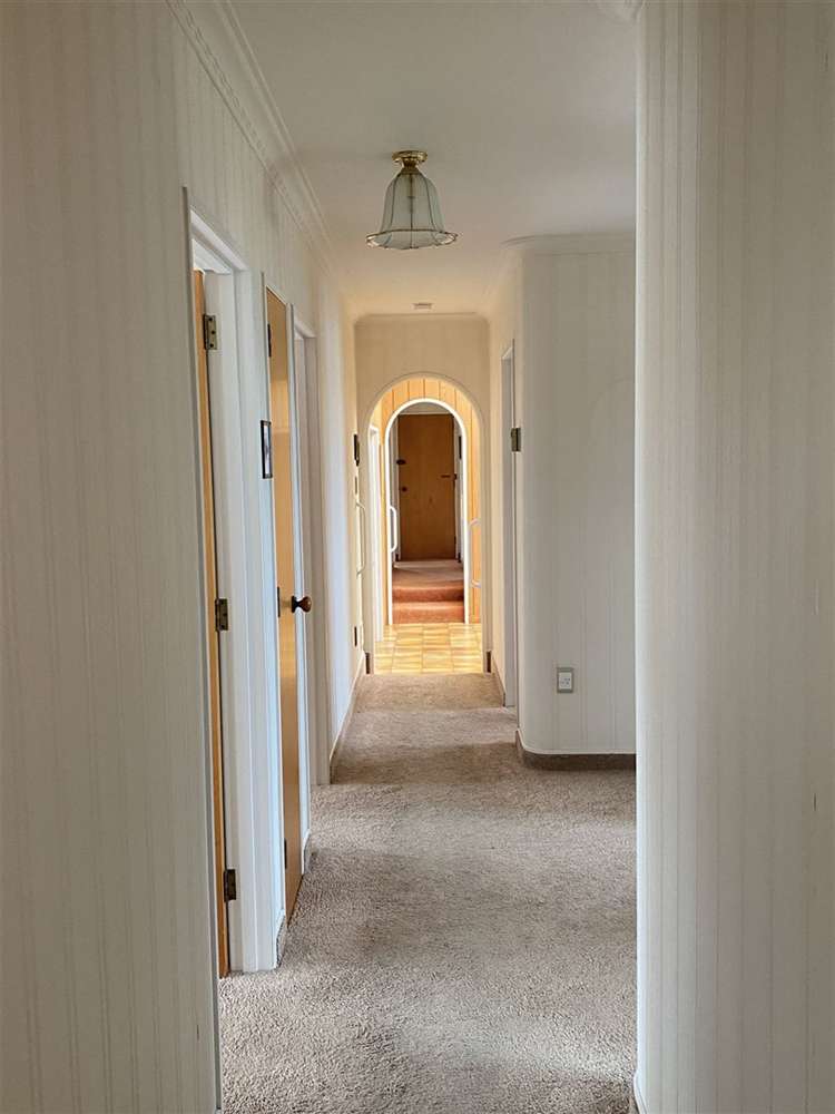 81 Mountain View Road Otorohanga_5