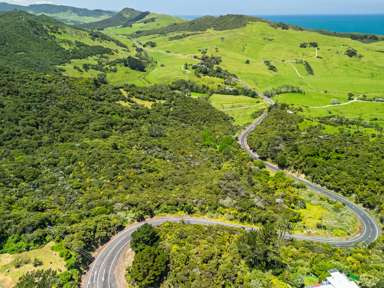 Pt Waiwhatawhata 1A3 State Highway 12_3