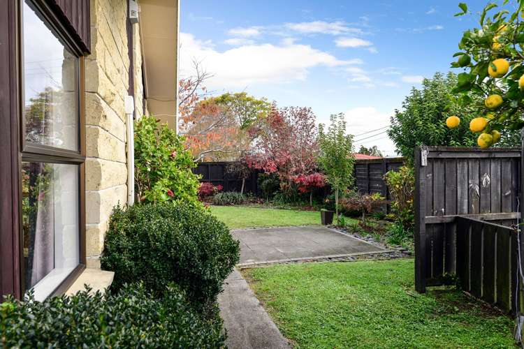 1a Winstone Avenue Chartwell_11