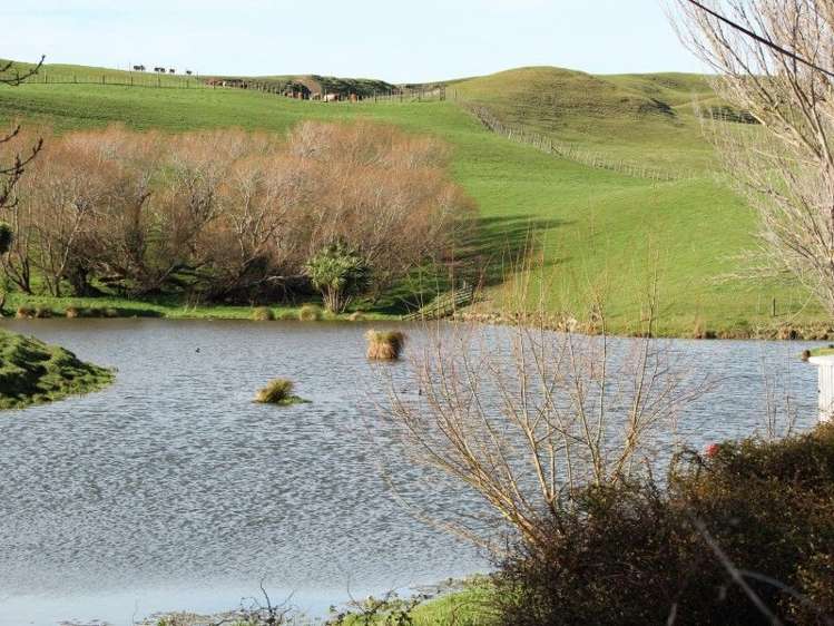 434 Hatuma Road Waipukurau and Surrounds_6