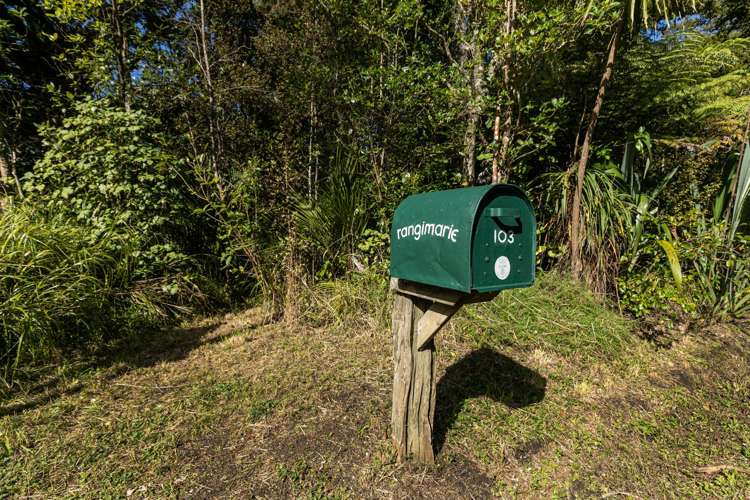 103 Hinau Road Muriwai Valley_22