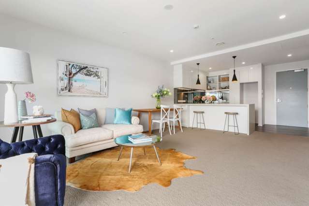 209/27 Enfield Street Mount Eden_2