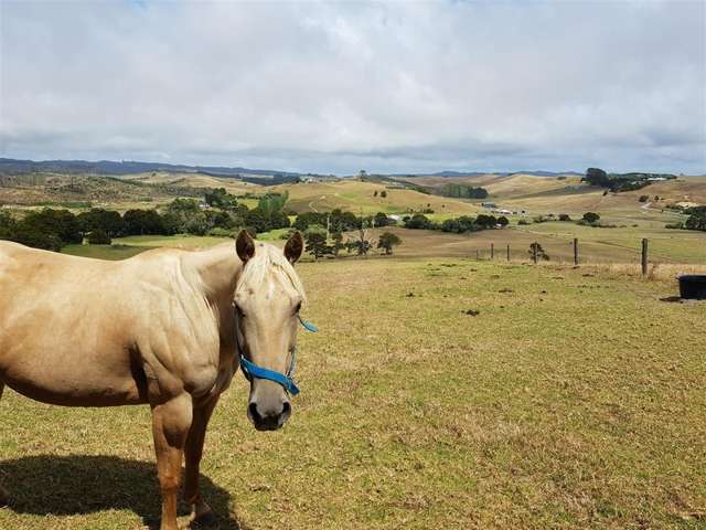 221 Mclean Road Waipu_2