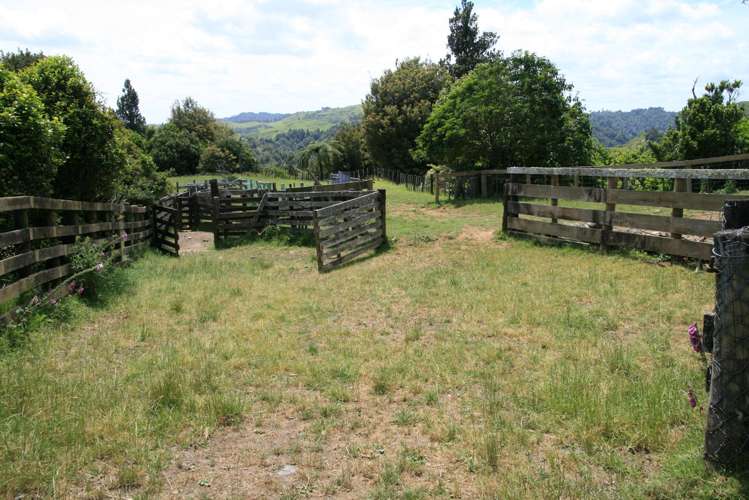 1099 Mataro Road Urenui_25