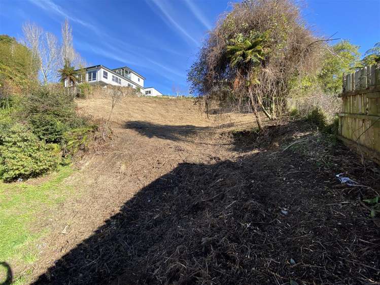 41a Mountain Road Western Heights_3