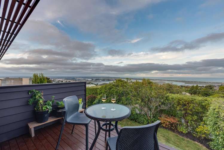 157 Soleares Avenue Mount Pleasant_33