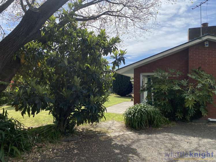 30a Wroxton Terrace Merivale_17