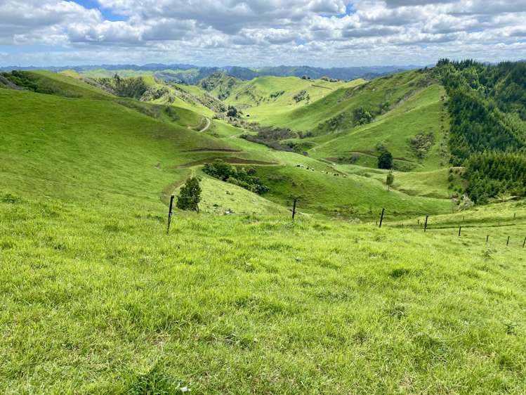 419 Motukawa Road Tarata_13