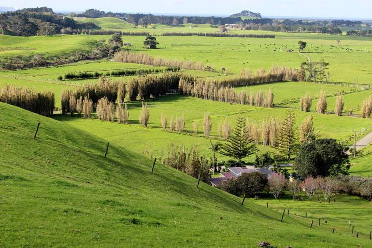 187 Katavich Road Awanui_0