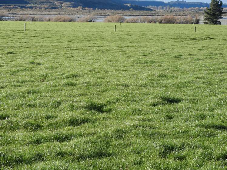 400 Keens Road Springfield_4