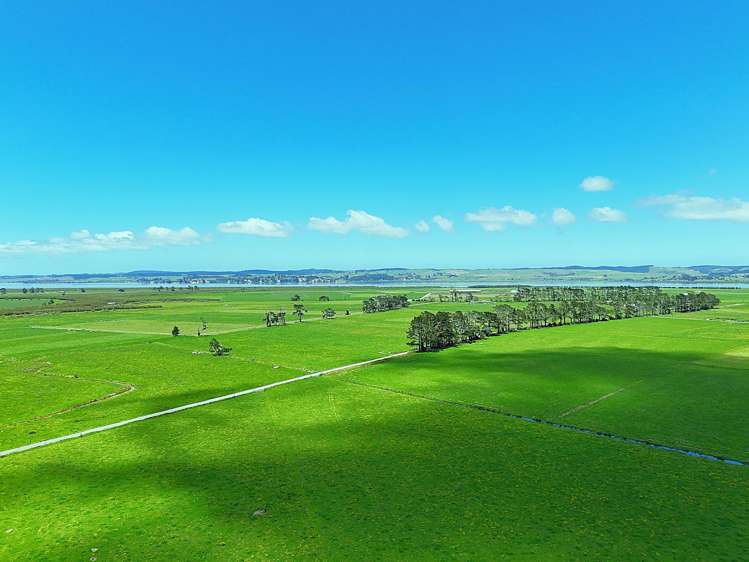 331 Simpson Road Ruawai_13