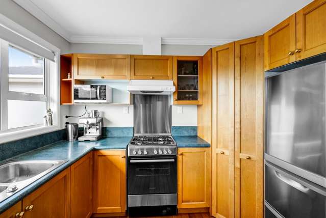 228a Omata Road Spotswood_4