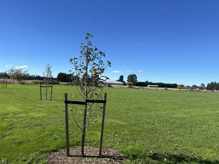 25 Sam Holmes Drive Methven_5