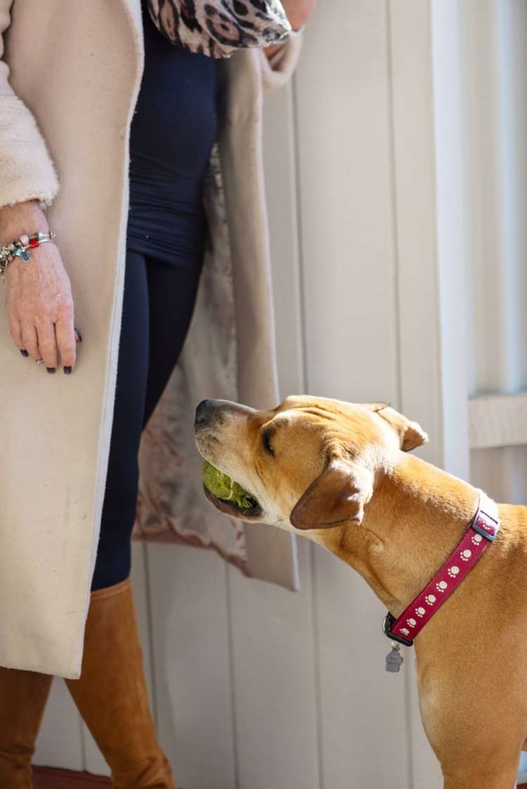 20A Tiora Place Upper Riccarton_22