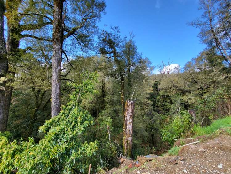 774 Atarau Road Atarau_8