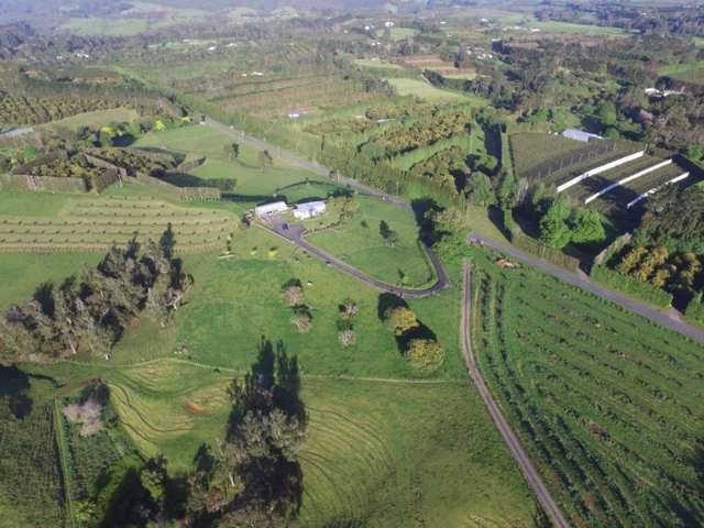 177 Hot Springs Road Hauraki Surrounds_3