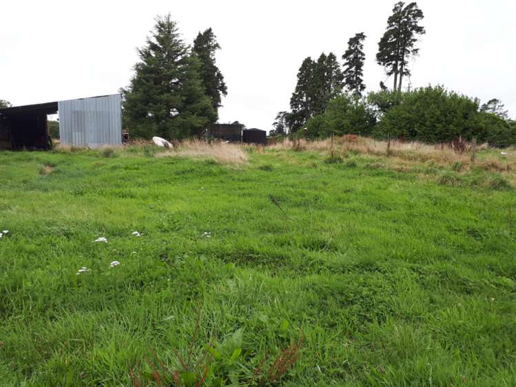 211 Surrey Road Tariki_5